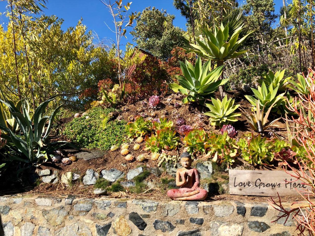 Inn At Moonlight Beach Encinitas Exterior foto
