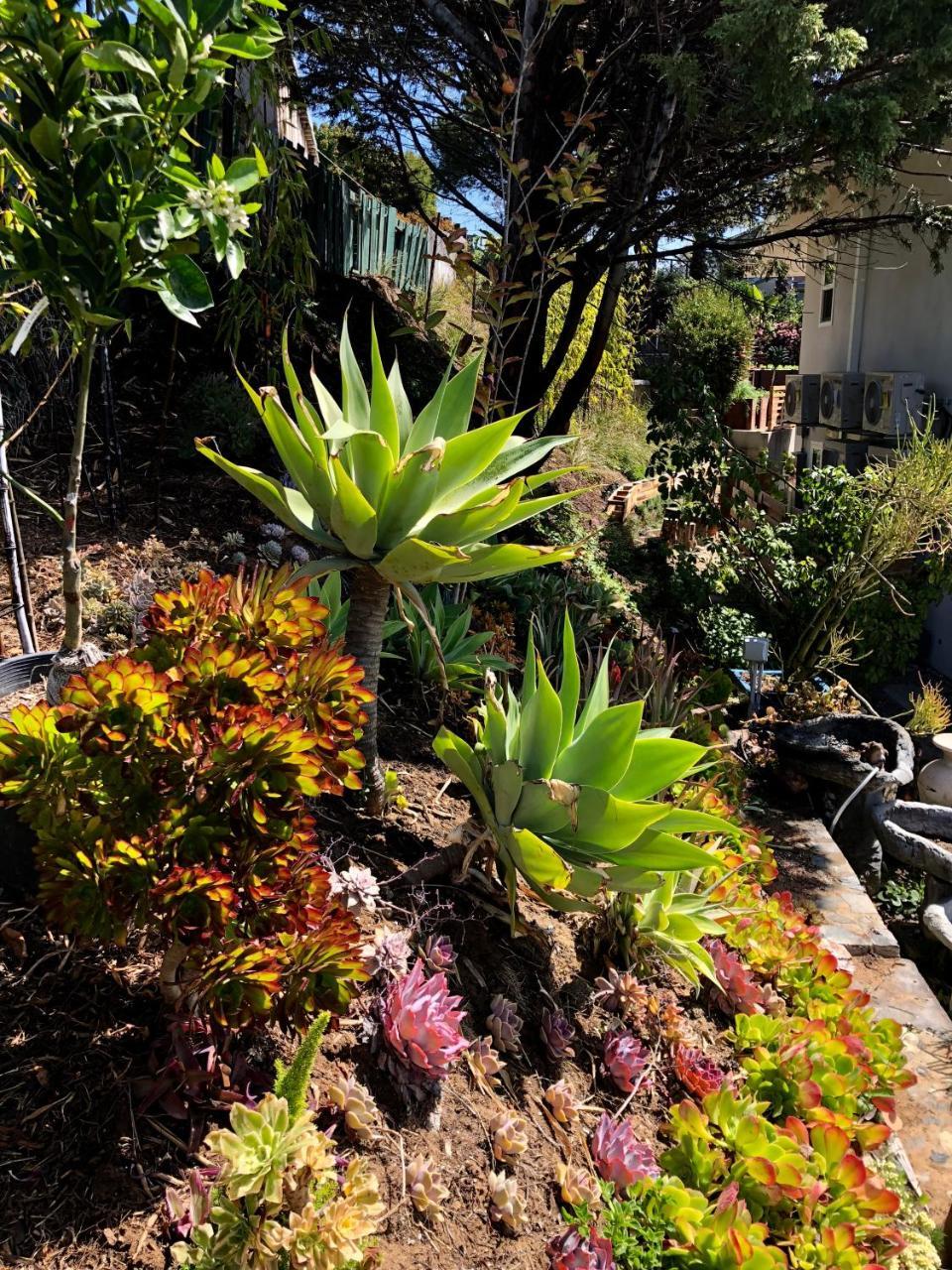 Inn At Moonlight Beach Encinitas Exterior foto